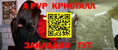 стафф Кандалакша