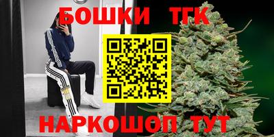 стафф Кандалакша