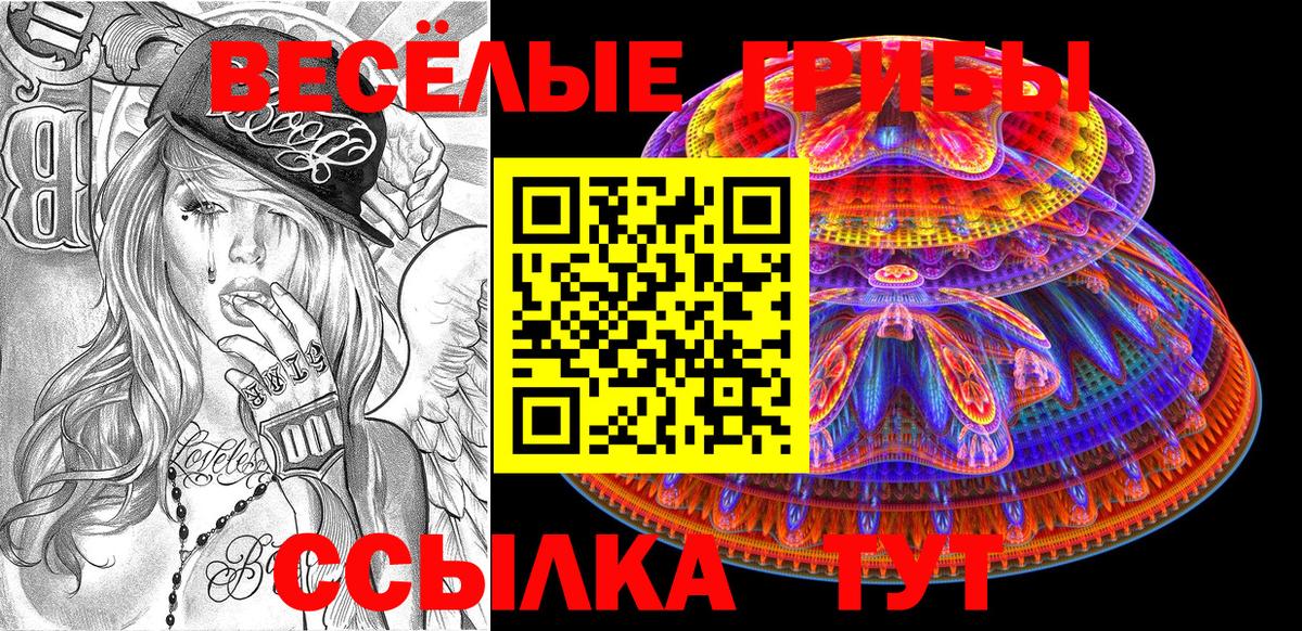Псилоцибиновые грибы Psilocybe  Вход с VPN  сколько стоит  Галлюциногенные грибы мицелий  Кумертау 